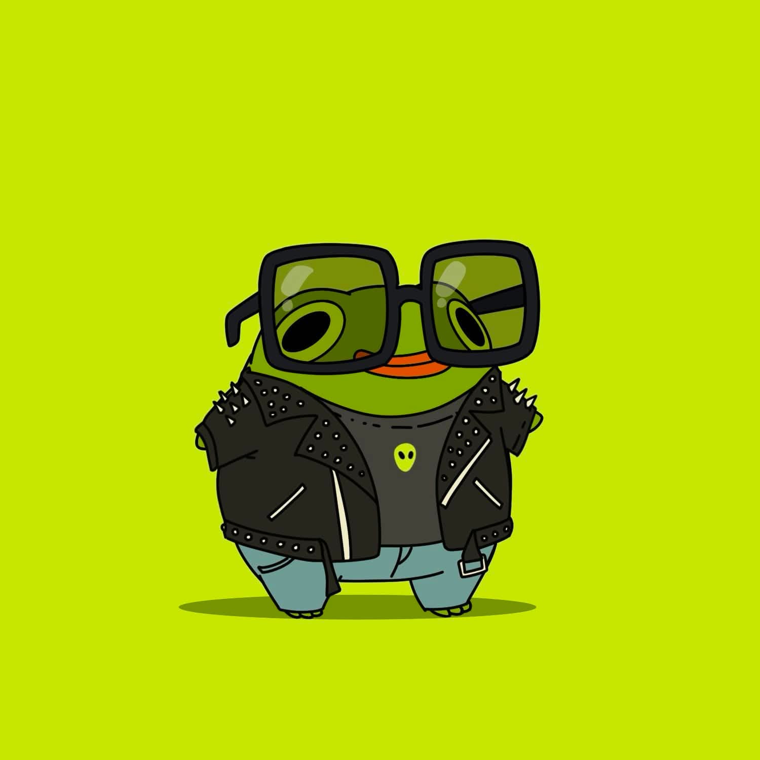 ROBIN PUNK